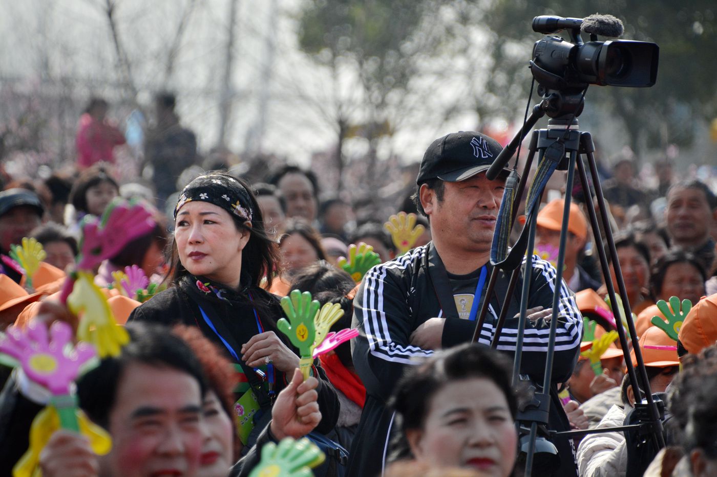 第十届中国淮南曹安桃花草莓节隆重开幕