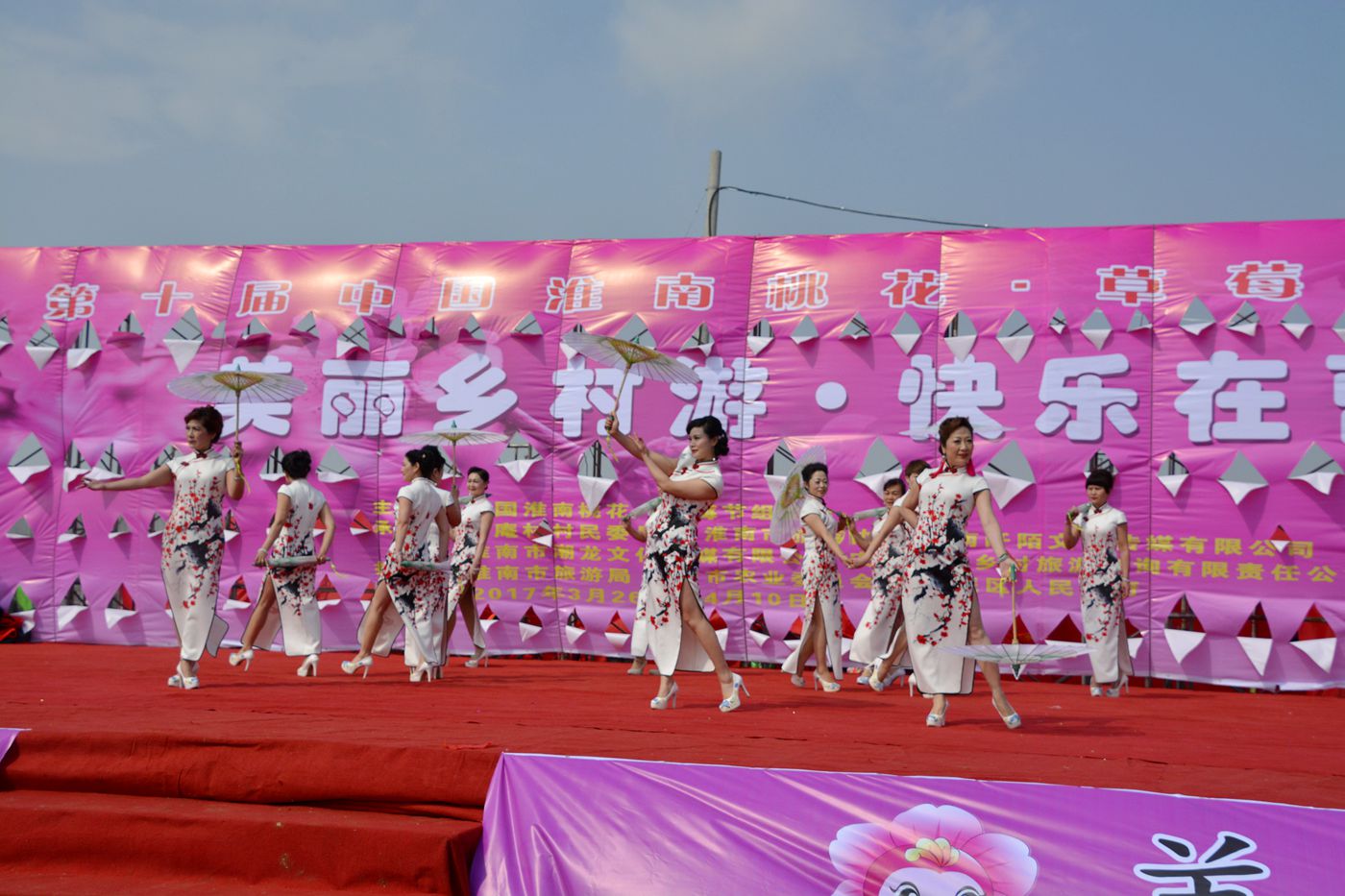 第十届中国淮南曹安桃花草莓节隆重开幕