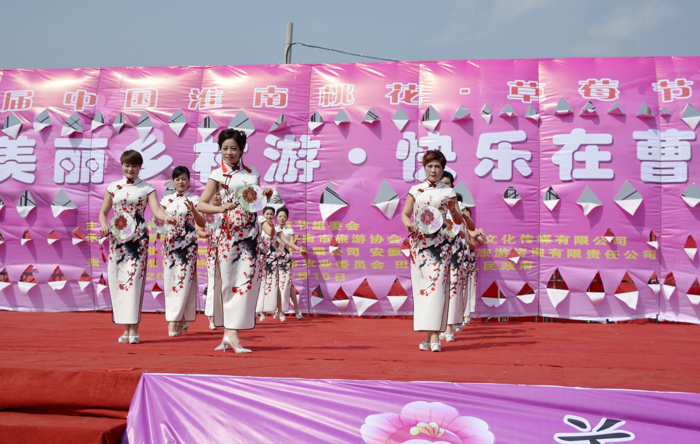 第十届中国淮南曹安桃花草莓节隆重开幕