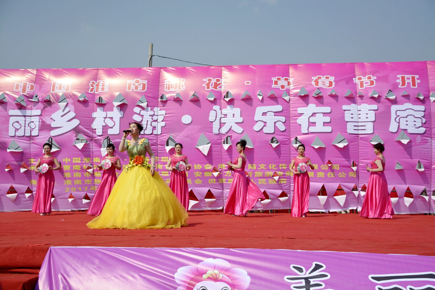第十届中国淮南曹安桃花草莓节隆重开幕