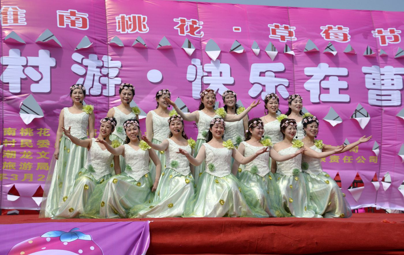 第十届中国淮南曹安桃花草莓节隆重开幕