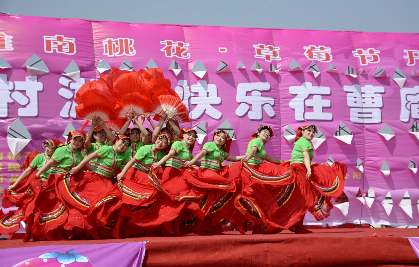 第十届中国淮南曹安桃花草莓节隆重开幕