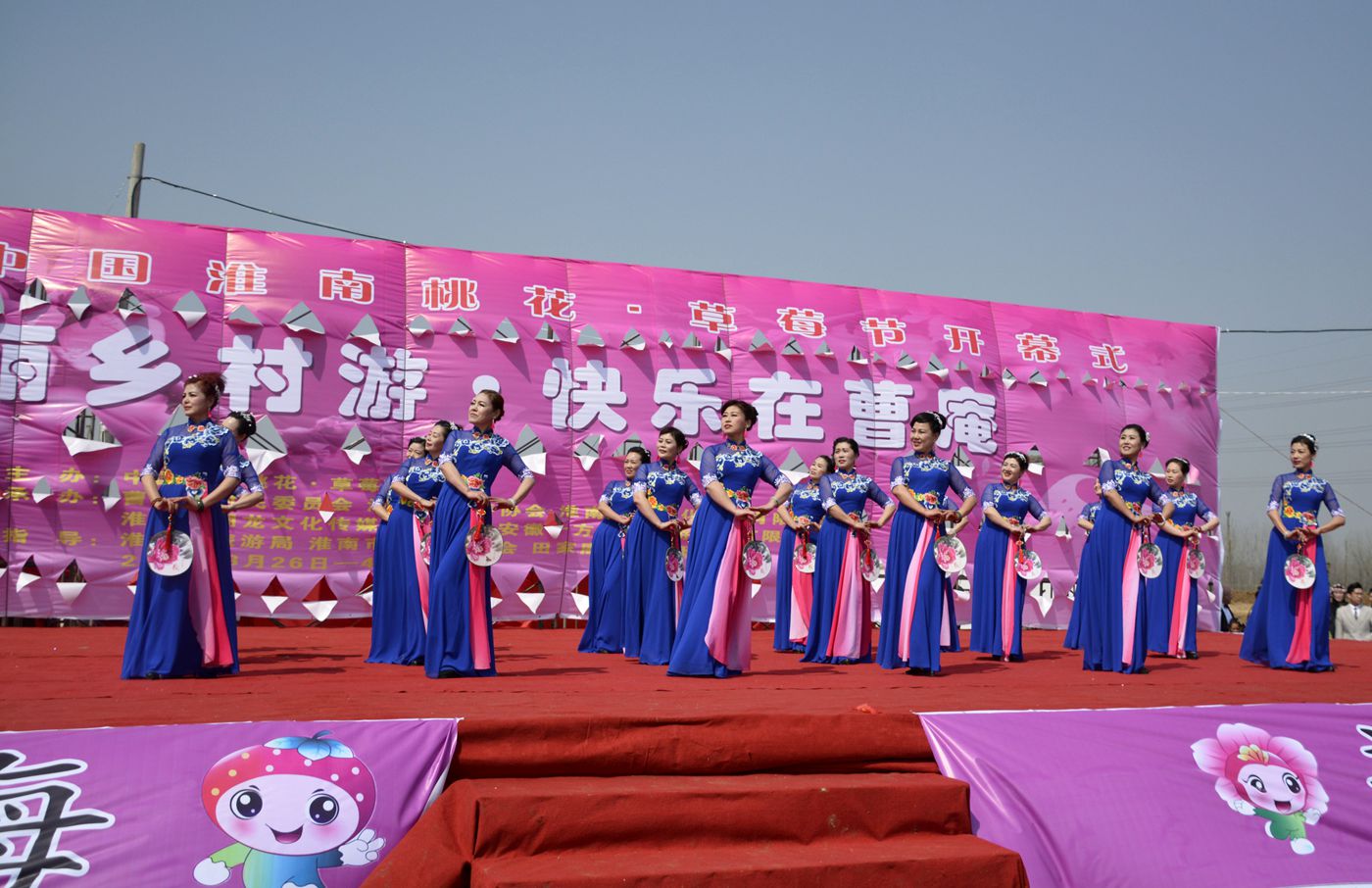 第十届中国淮南曹安桃花草莓节隆重开幕