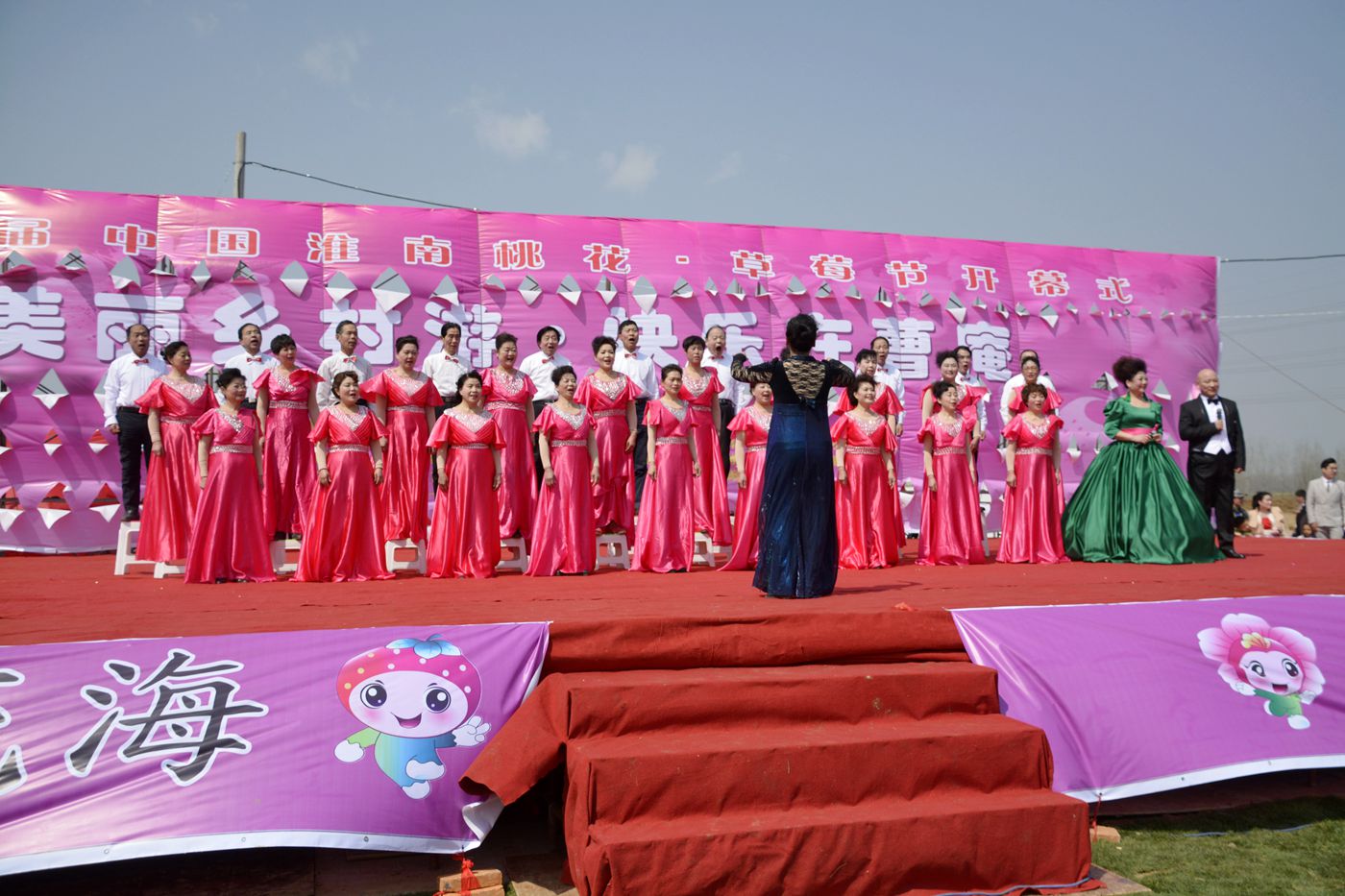 第十届中国淮南曹安桃花草莓节隆重开幕