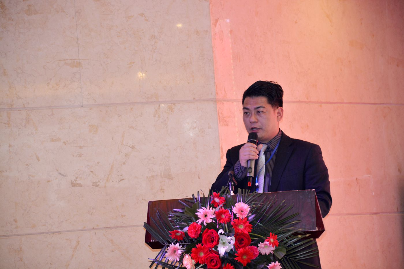 淮南市丽水商会成立暨招商推介会
