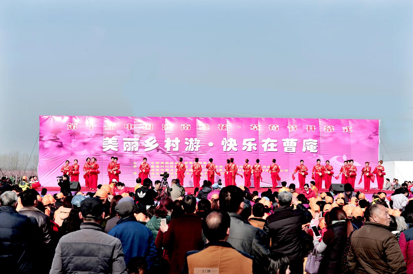 第十届中国淮南桃花、草莓节开幕式