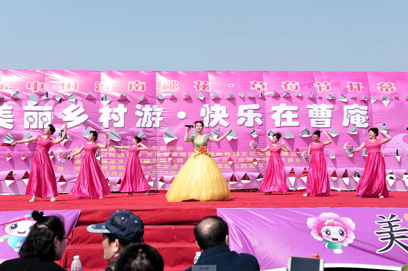 第十届中国淮南桃花、草莓节开幕式
