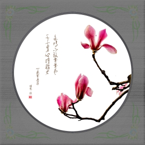 玉兰花