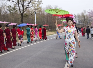 旗袍的古美让女人美丽。